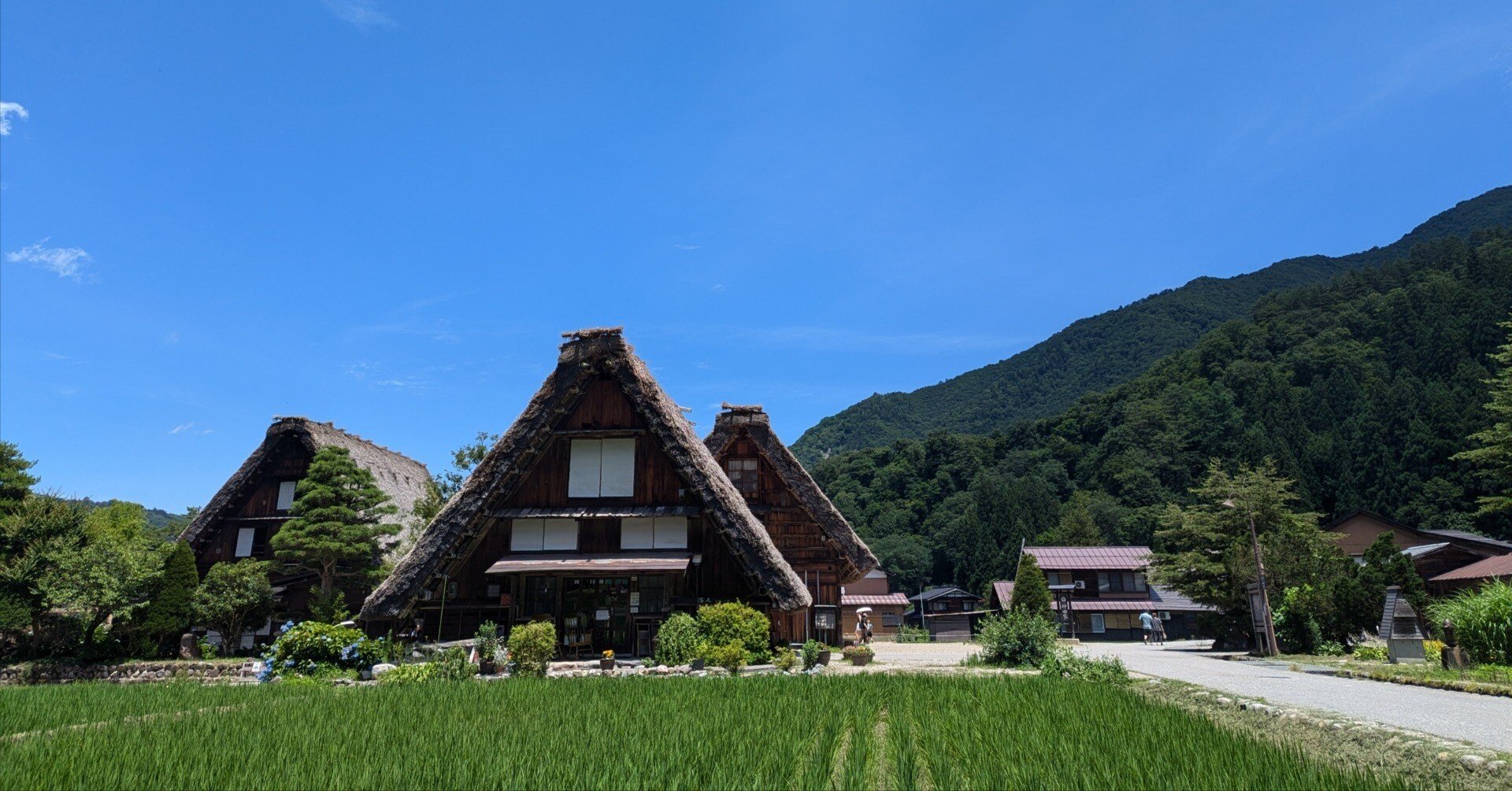 ニッポンの夏の原風景、白川郷を行く｜Aya