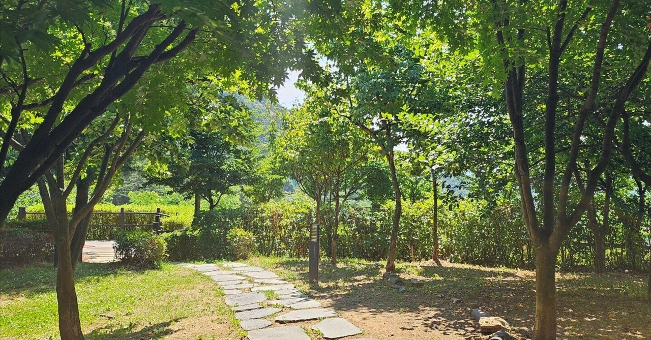 僕らの光が戻ってきたよ in seoul（その4）｜Ai｜本と物語ユンスル