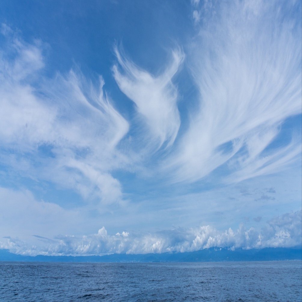 【セール】 福袋 の通販 ある日、梅雨明け間近の海で見てきたもの。 【Column- 潮気、の 絵画