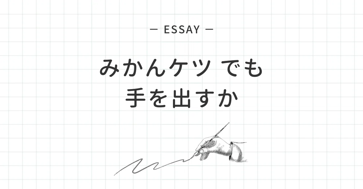 見出し画像