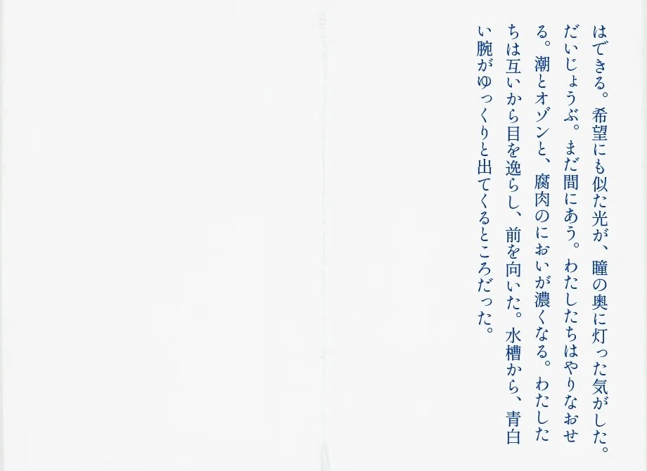画像24