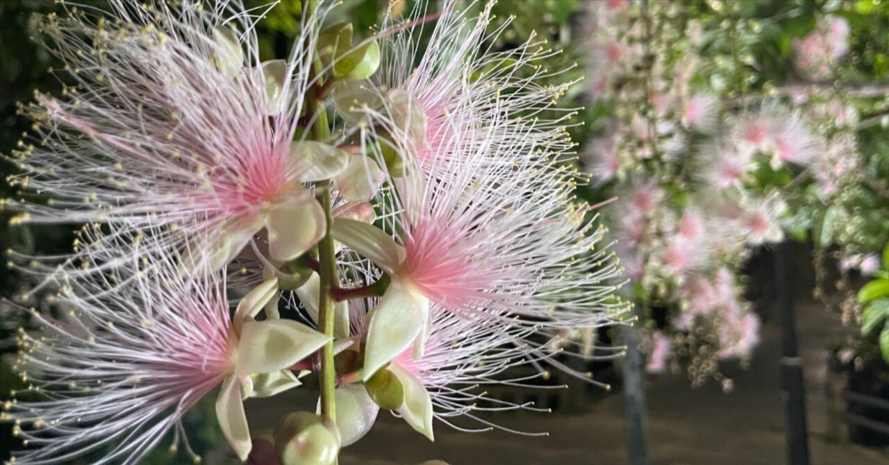 5af396b8c1965f1dee9ef94c4b1ffa