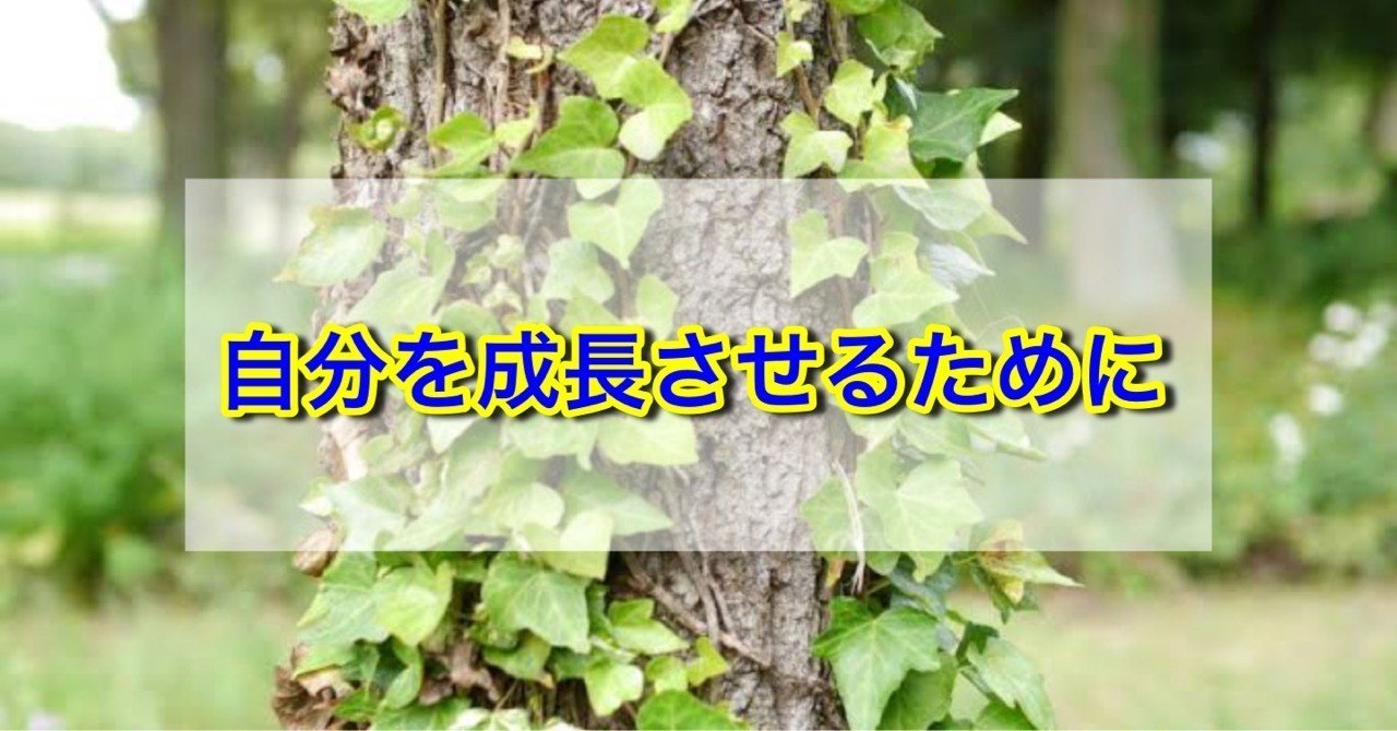 無駄な人間関係の整理について ぎょうちゃん Note