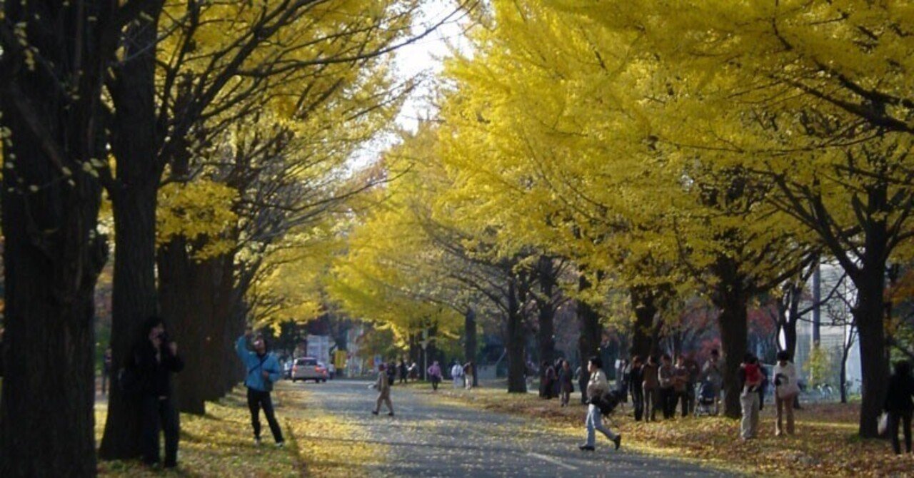 北海道大学法学部2・3年次編入試験（英語）の解説をします［第6回