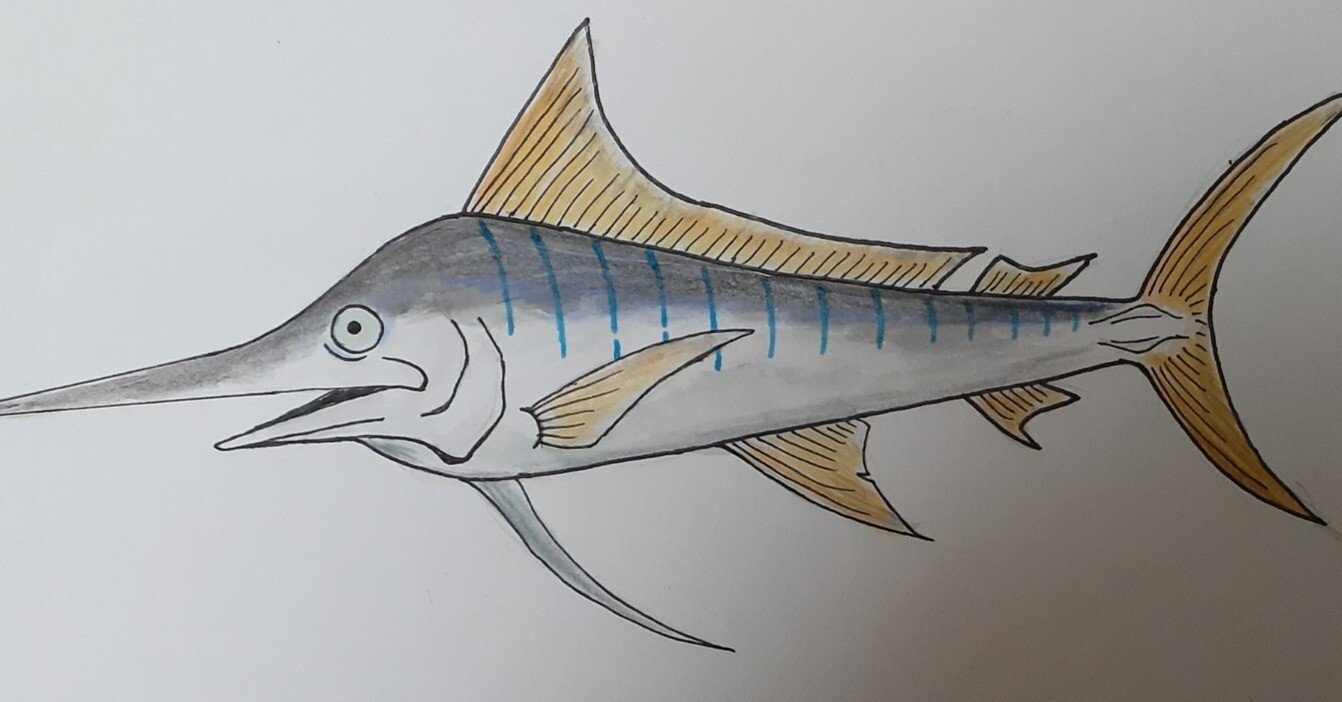 2bdc22f7c8f5acbc0b0125c76ac184