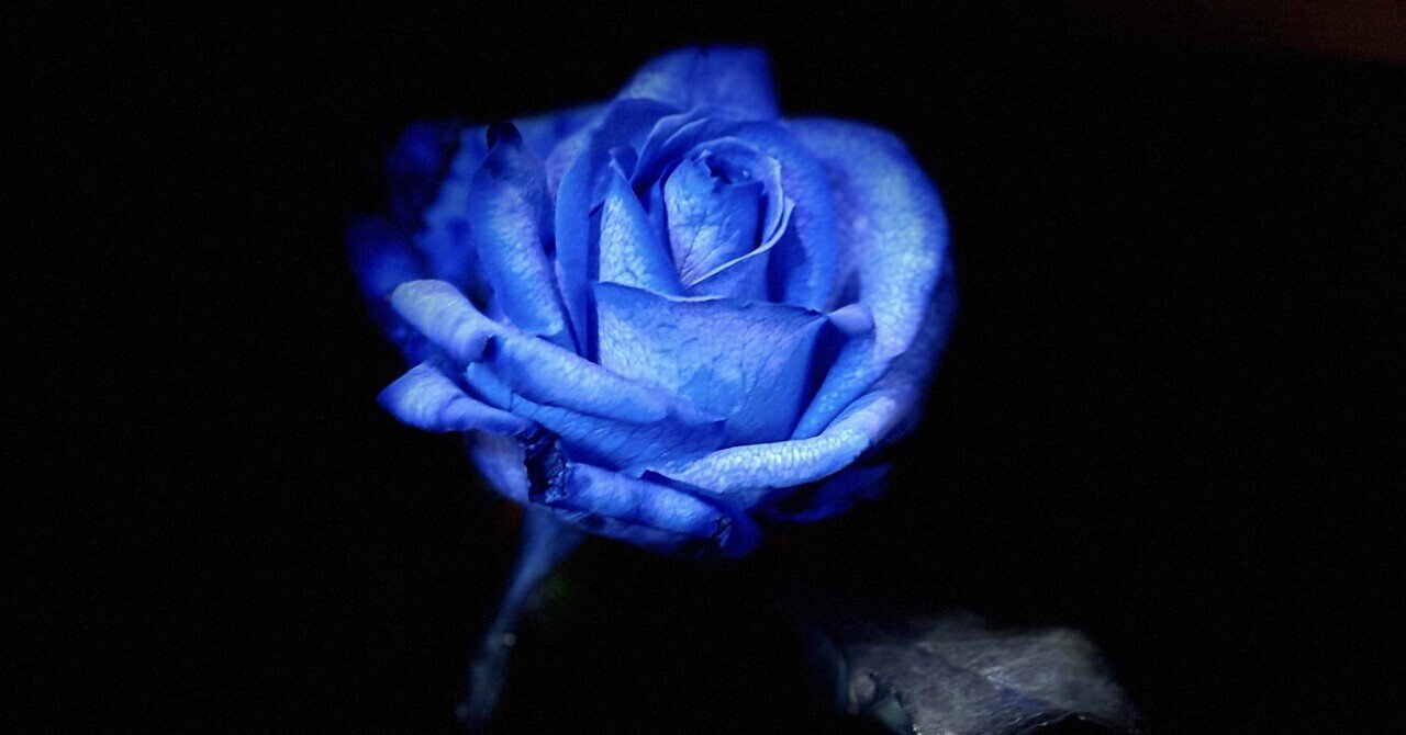 青い薔薇を活ける｜さわな(澤田奈々未)