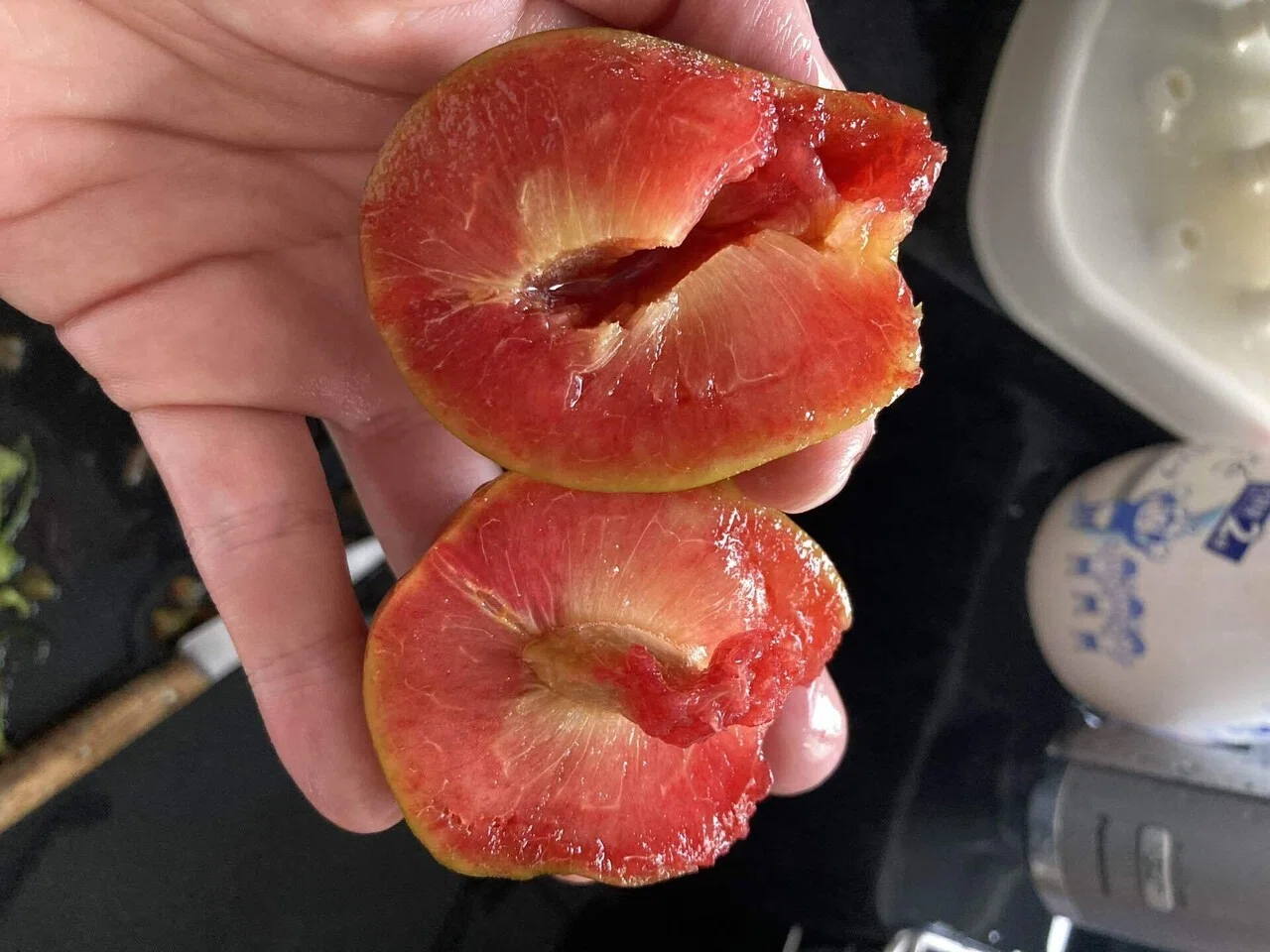 勝手にソルダムとサマーエンジェル食べ比べしてみた。｜ms