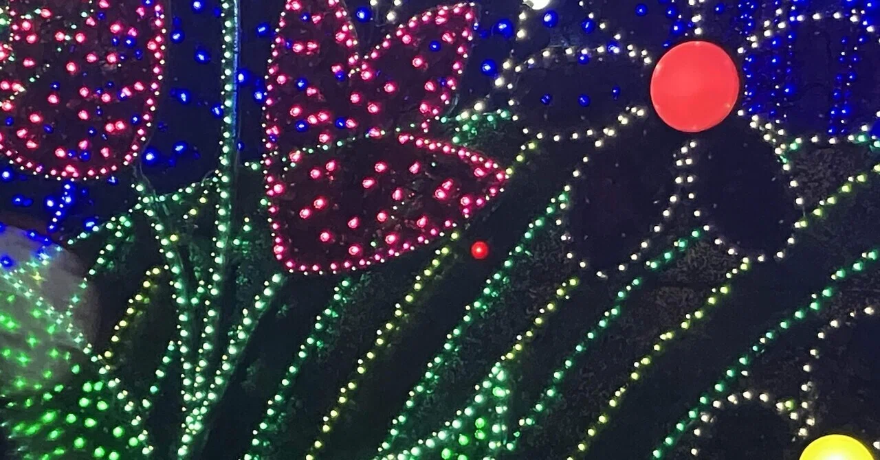 ディズニーで収集したものを上げる時②（Eパレの赤いぽち）｜さとうの人