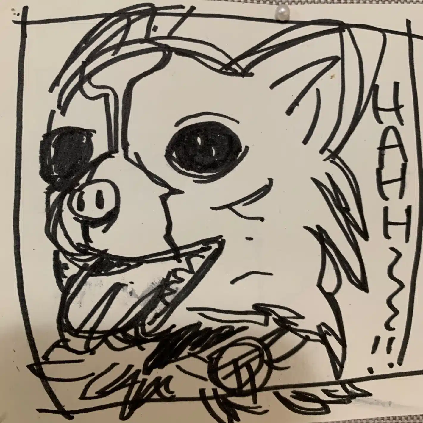 ベるお君です