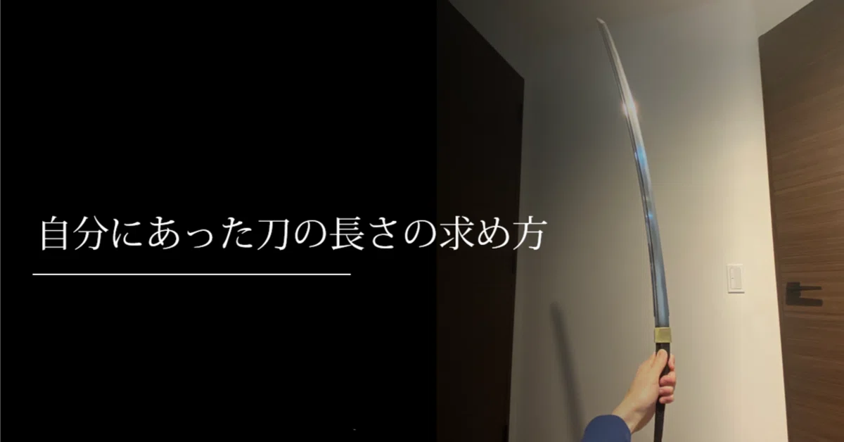 日本拳法 面 中L寸 意気込ん