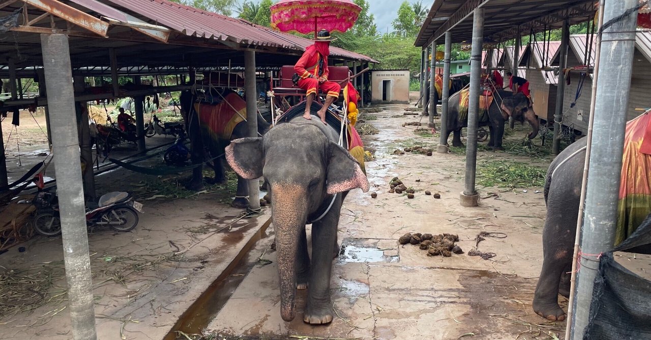 rectangle_large_type_2_20b81d3  