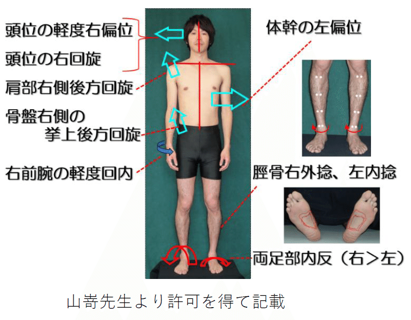 第11肋骨は面白い！！｜土屋元明のからだ改善チャンネル