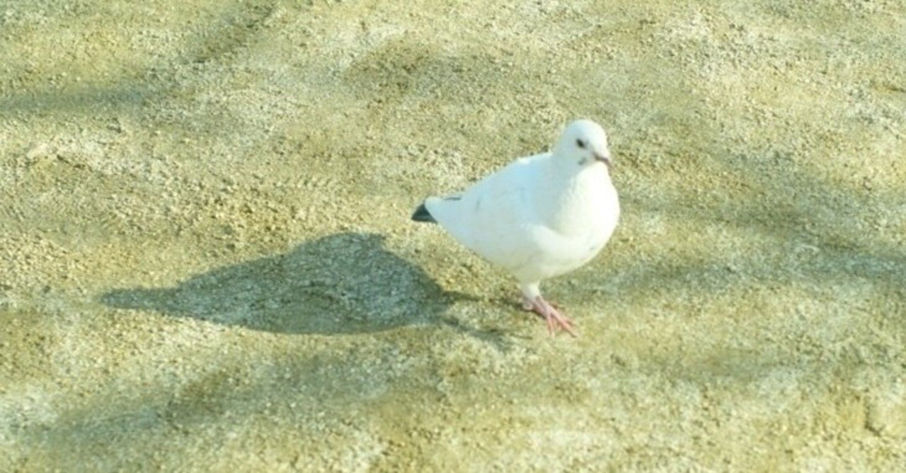 果てのある物語を プリンセス プリンシパル ネタバレ感想 白鳥仙 Note 果てのある物語を プリンセス プリンシパル ネタバレ感想 白鳥仙 Note