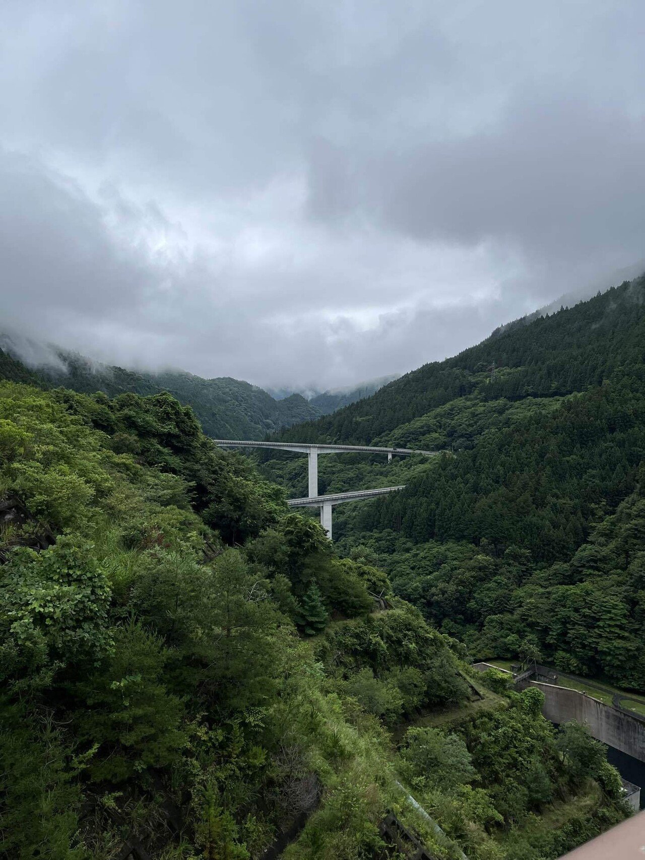 紀行文】日本オオカミが導いた奥秩父の霊場 「氣守り」の三峯