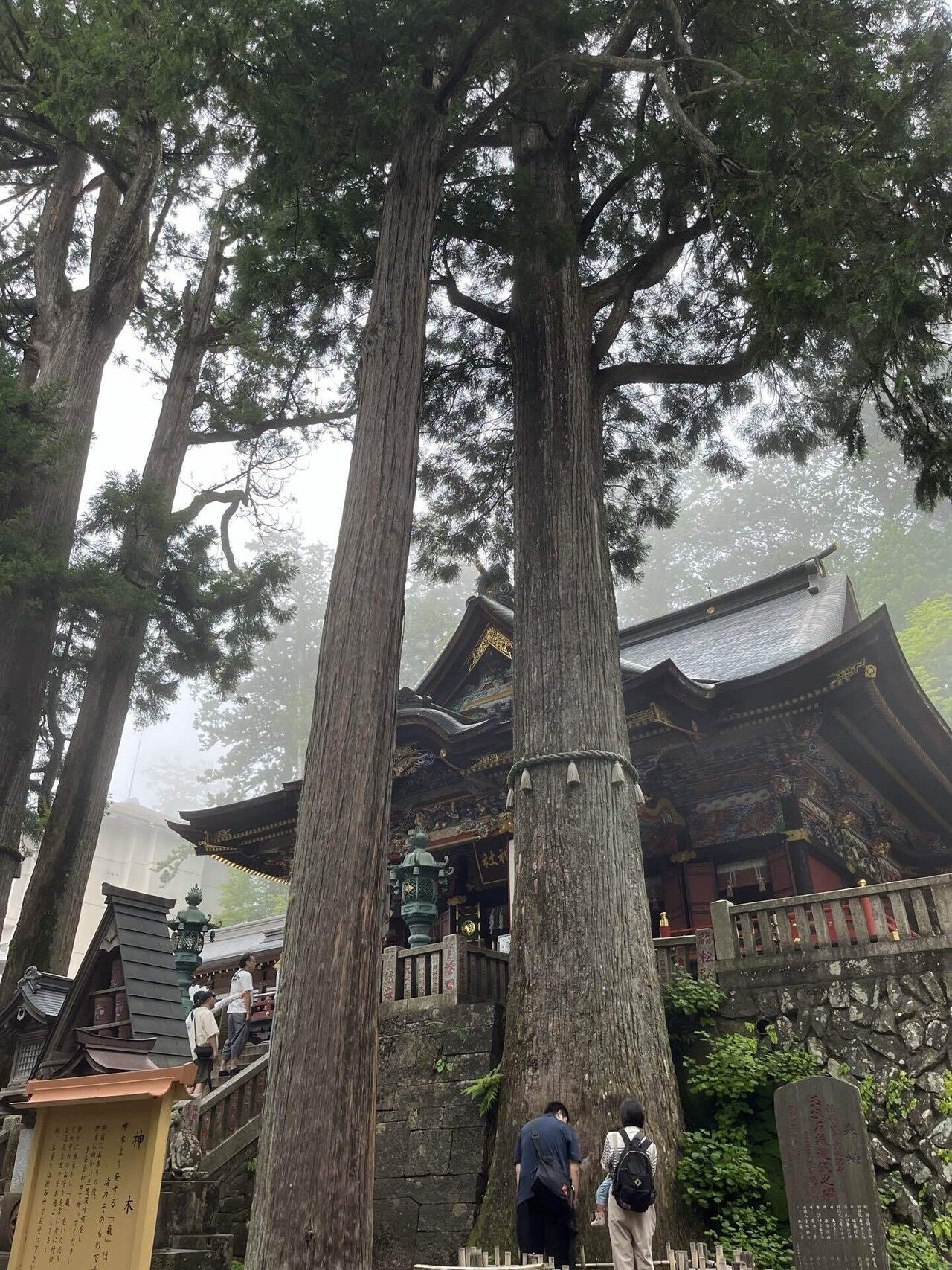 御神木　標本　極　阿古谷　最高峰 仏像】世界遺産 高野山金剛三昧院『十二支御守り本尊』普賢菩薩(辰・巳