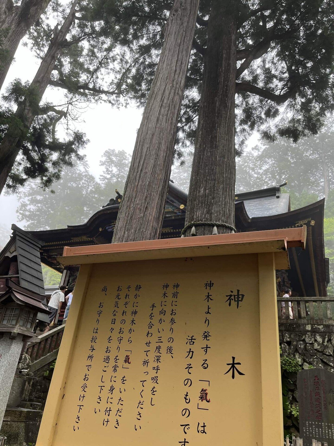 紀行文】日本オオカミが導いた奥秩父の霊場 「氣守り」の三峯神社｜タキカワスエヒト