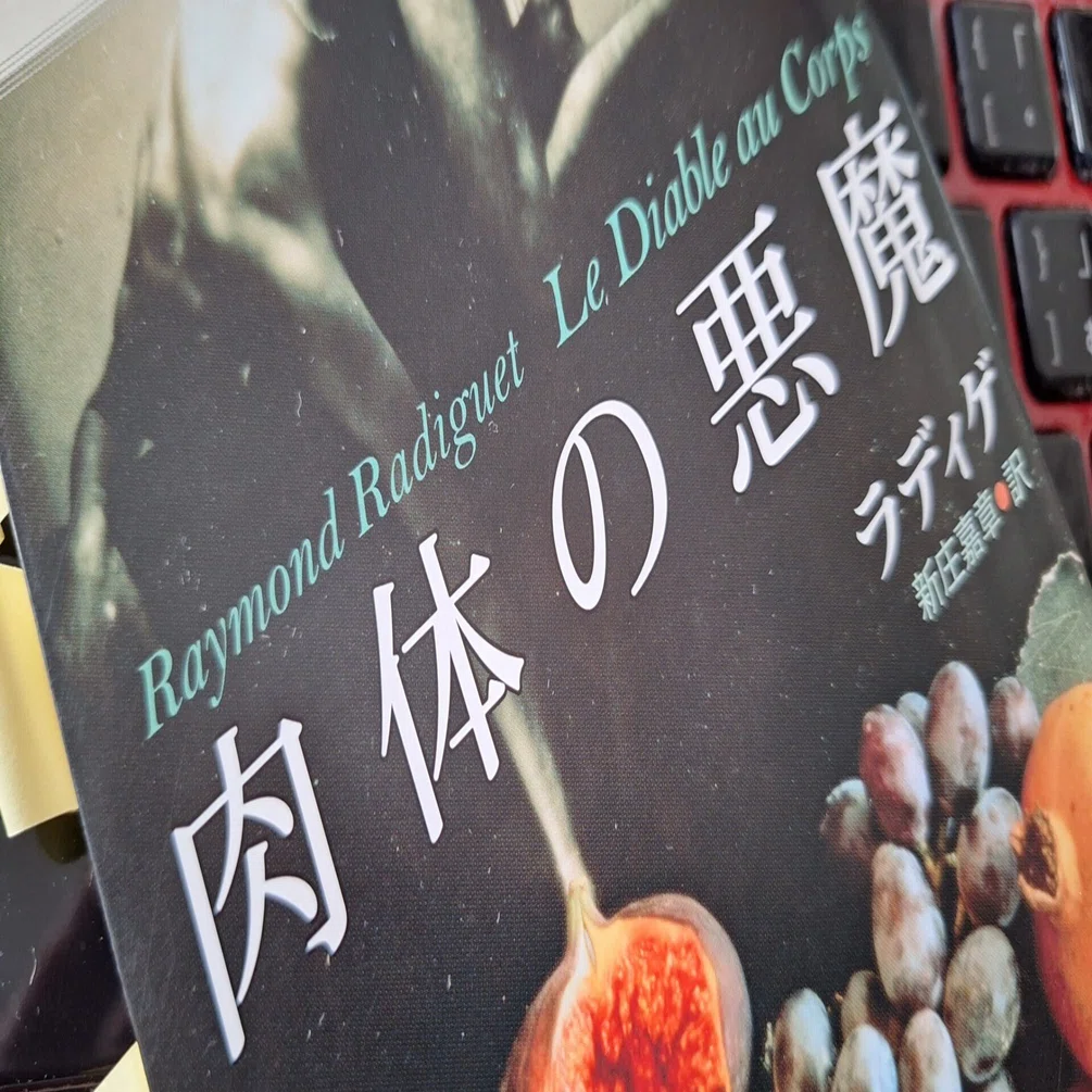 ワクワクリベンジ読書のすすめ～『肉体の悪魔』ラディゲ著～｜なか塾