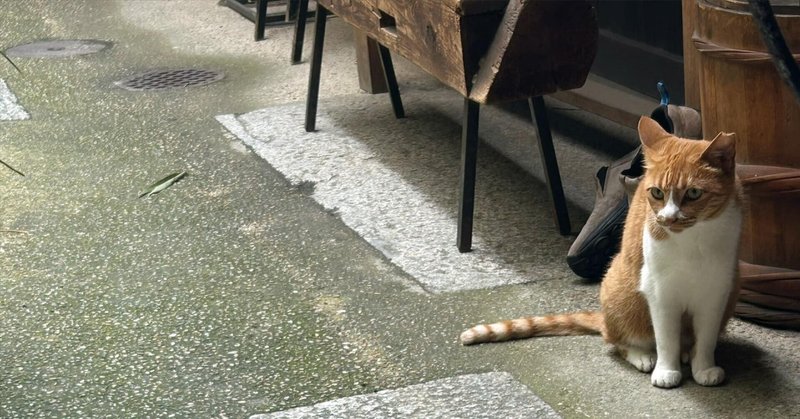 ピーちゃんのママ