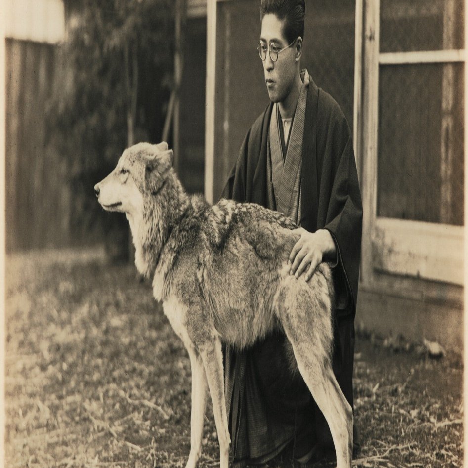 狼を連れて銀座を散歩し、自宅の庭でハイエナを飼う…「すごい犬奇人