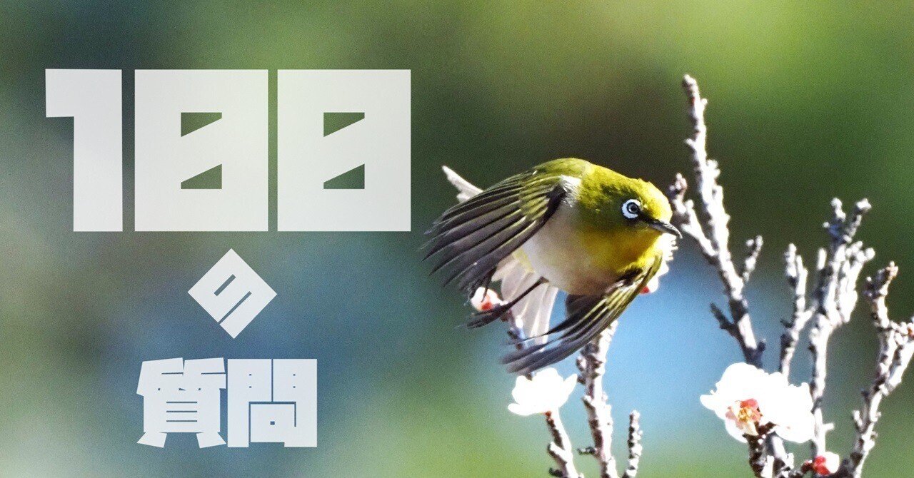 誰も持ってない？NEWタイプ、かっこいい！BRIDE ブリッドロゴのブルー長財布　送料185円　ワイルドスピード　ヘラフラ　スポコン 読書コラム誰も自分が差別をしているとは思っていないから - 『差別