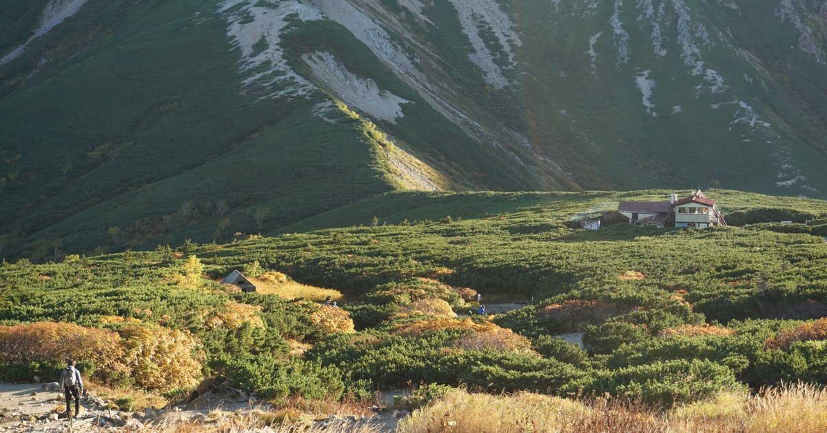 最終値下げ 約100軒の山小屋をリアル取材した雑誌『PEAKS』の「北アルプス ネイルチップ・付け爪