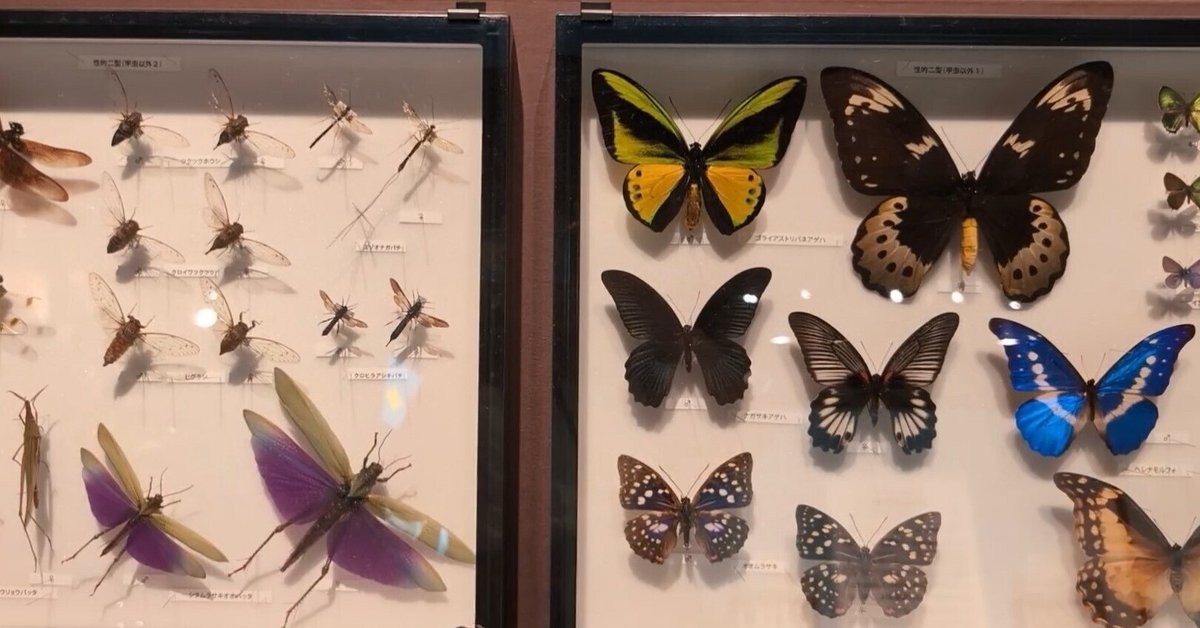 特別展「昆虫MANIAC」で昆虫たちの多様な生き方を体感