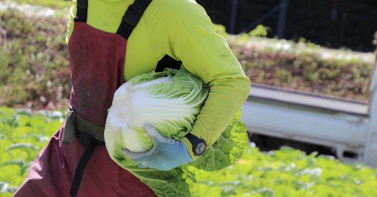 淡々と 黙々と 粛々と さくほのまさこさん Note 淡々と 黙々と 粛々と さくほのまさこさん Note