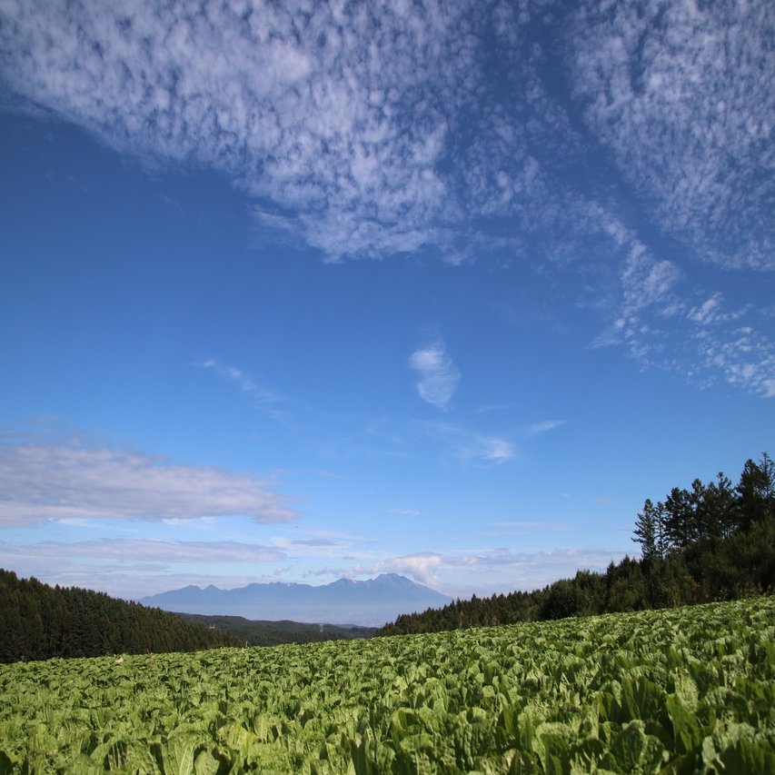 淡々と 黙々と 粛々と さくほのまさこさん Note