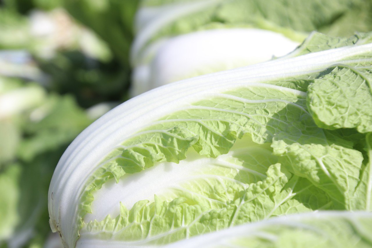 淡々と 黙々と 粛々と さくほのまさこさん Note 淡々と 黙々と 粛々と さくほのまさこさん Note