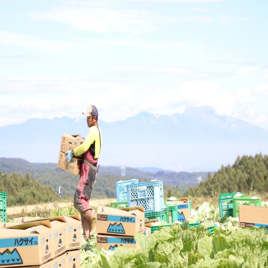 淡々と 黙々と 粛々と さくほのまさこさん Note