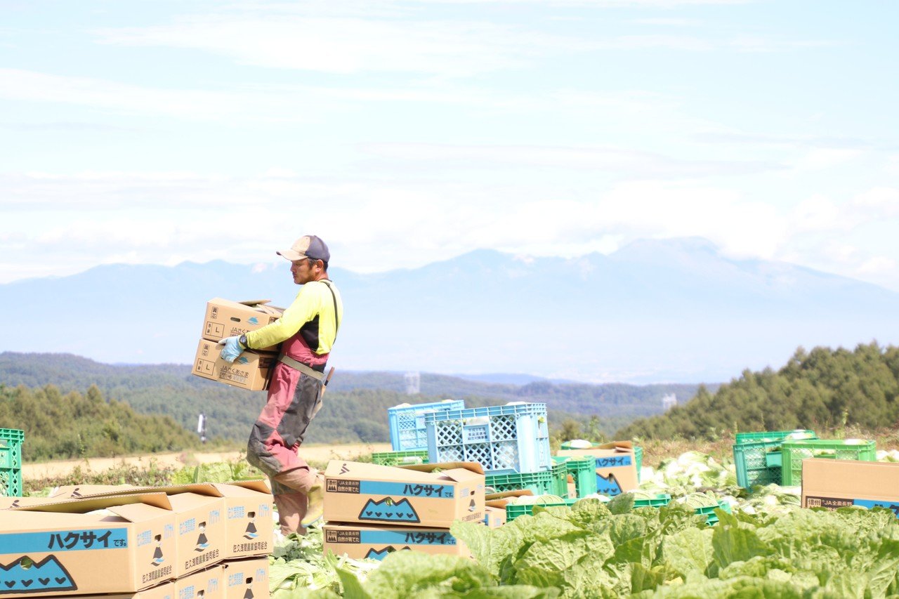 淡々と 黙々と 粛々と さくほのまさこさん Note 淡々と 黙々と 粛々と さくほのまさこさん Note