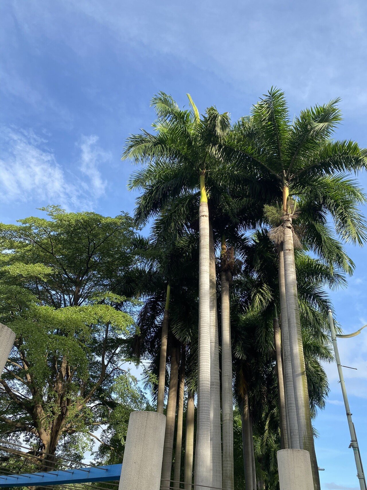 7月19日 金曜日 旧暦六月十四日 今日は楽しい 金曜日 ちなみに今日は旧暦で十四日。 明日は十五日なので満月です。 旧暦では毎月一日を朔