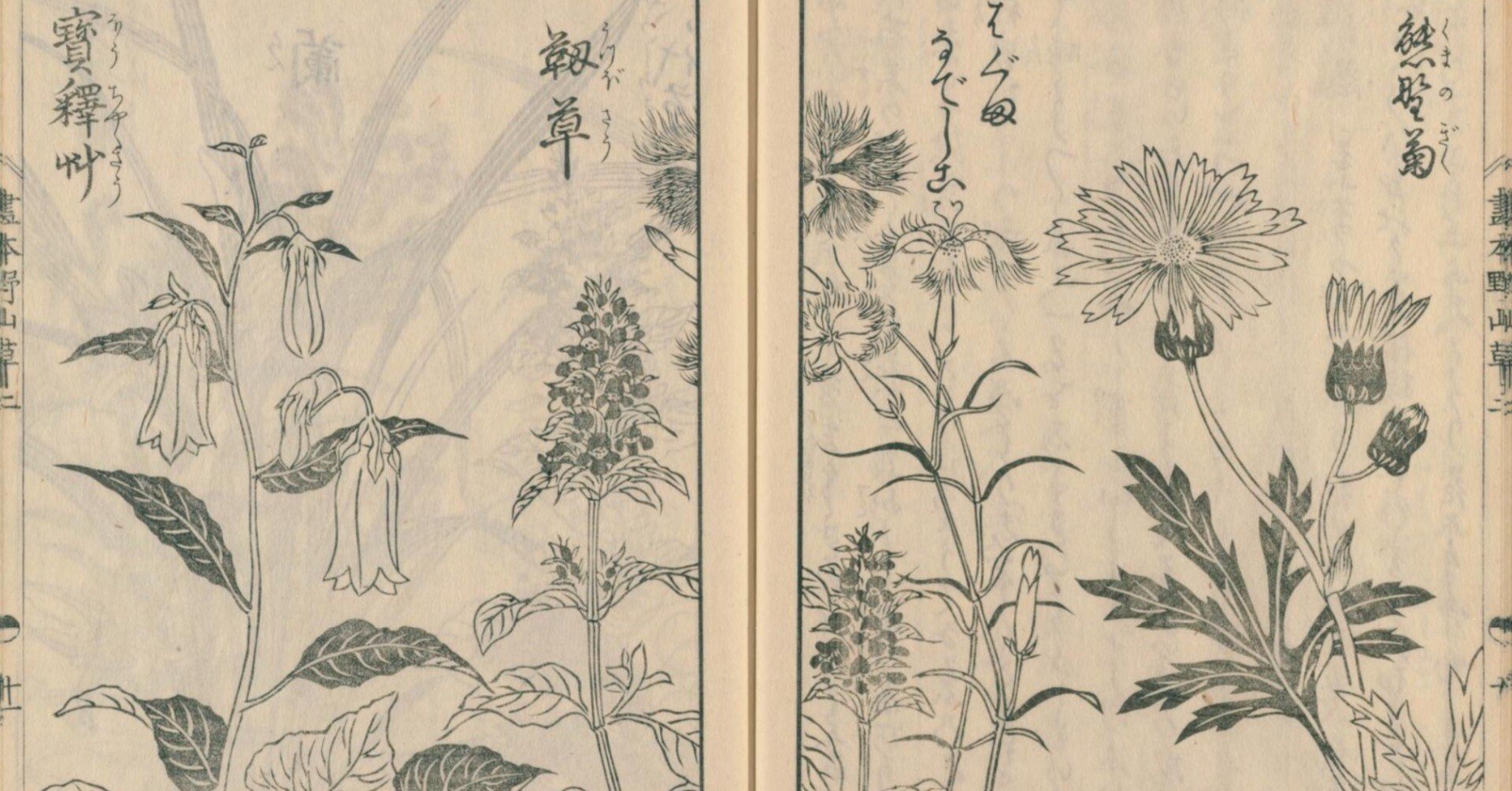 241918ca1942355168c8273fe79d9a