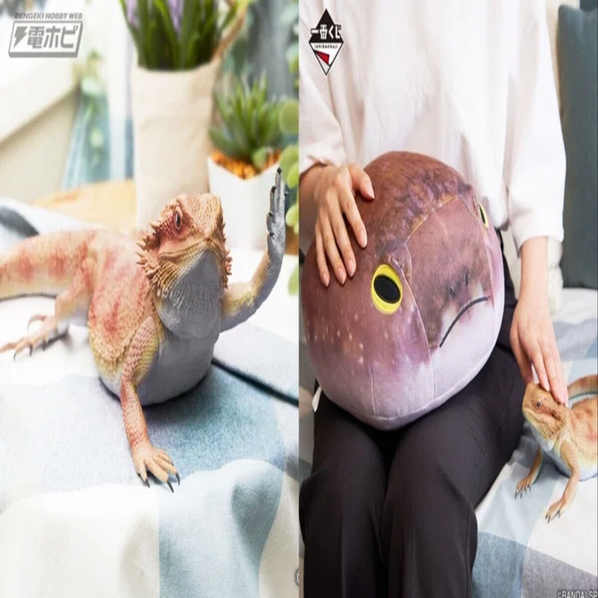 一番くじに「爬虫類＆両生類」が初登場！フトアゴヒゲトカゲの