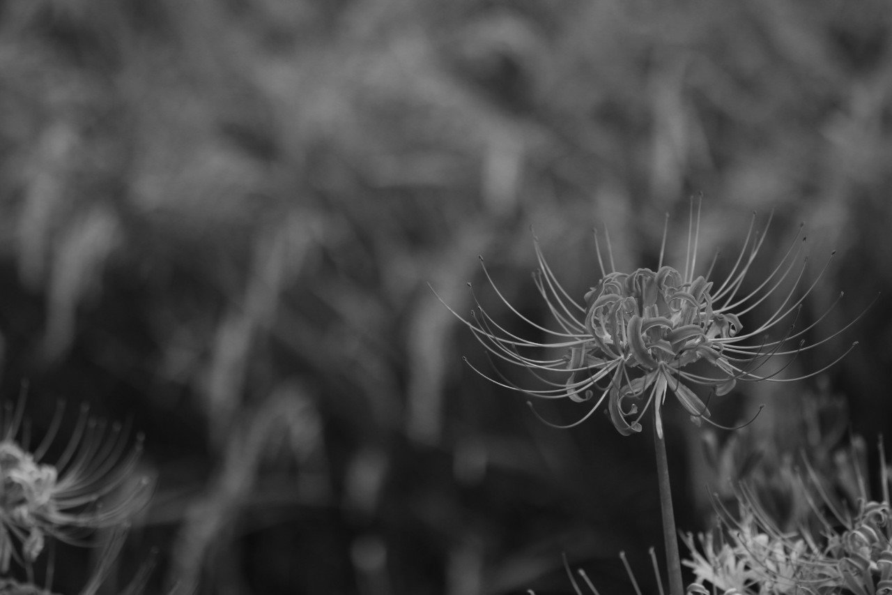 親指を隠さずに 眼鏡屋 Note