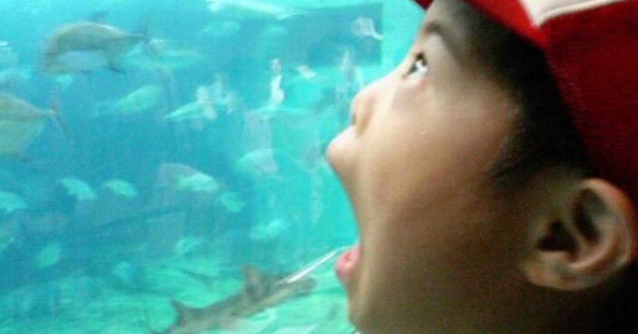 弟が万引きを疑われ そして母は赤べこになった 岸田 奈美