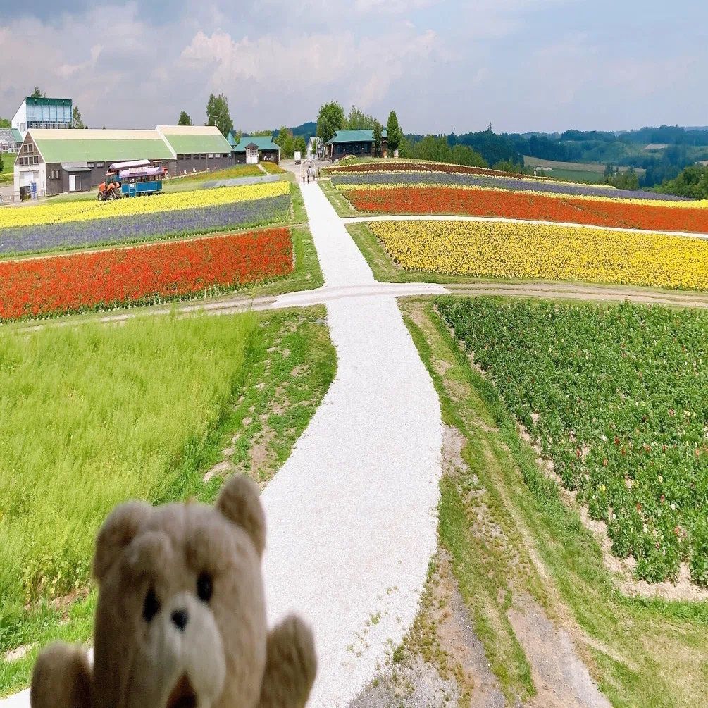 フラワーランドかみふらの 北海道｜日本一周、世界一周 もふP