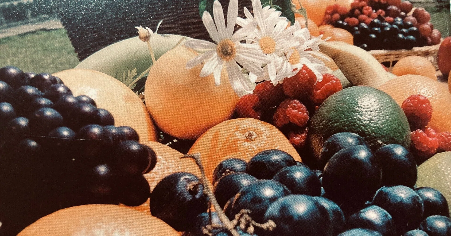 佐野元春 FRUITS｜bluebeat
