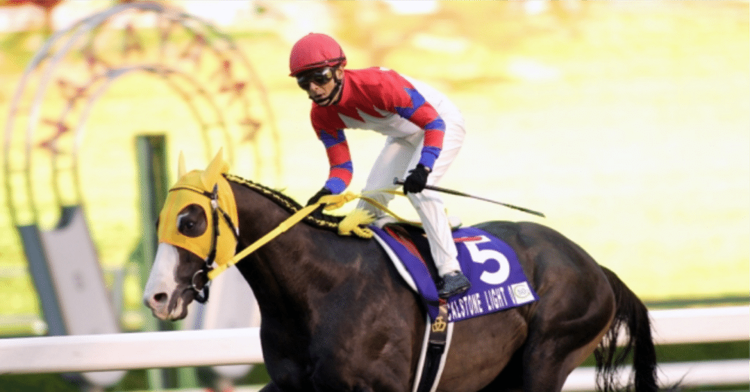 希少】JRAジョッキー レース用鞭 やばかっ 