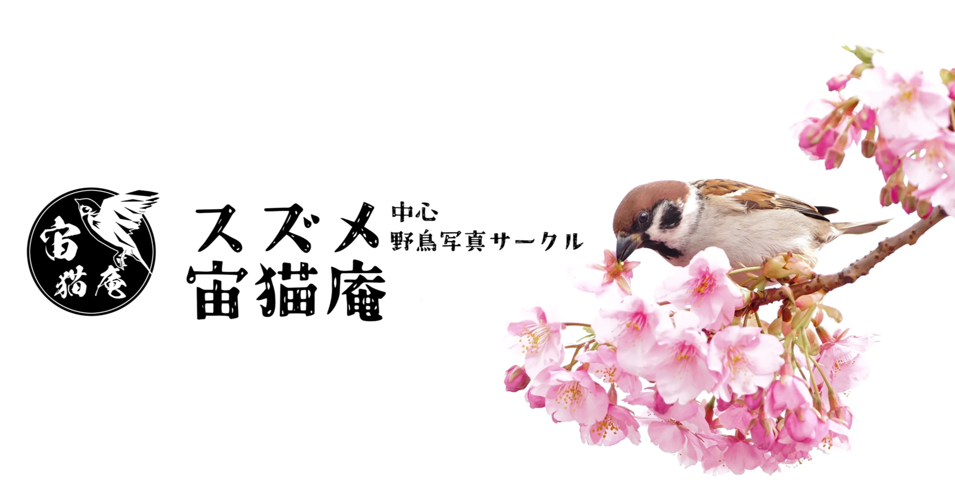 きざけん｜note
