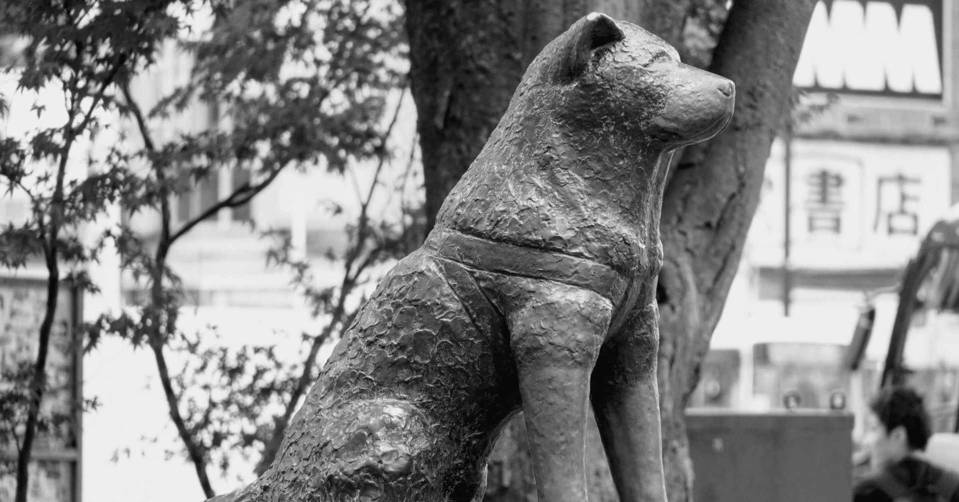 ハチ公が結ぶ世界の人｜ぶんちょう1万人案内した通訳ガイド