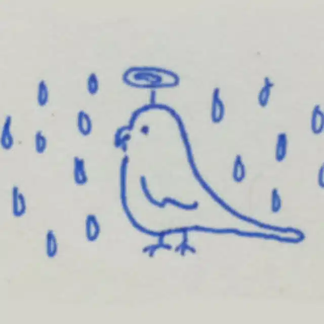 はくさい