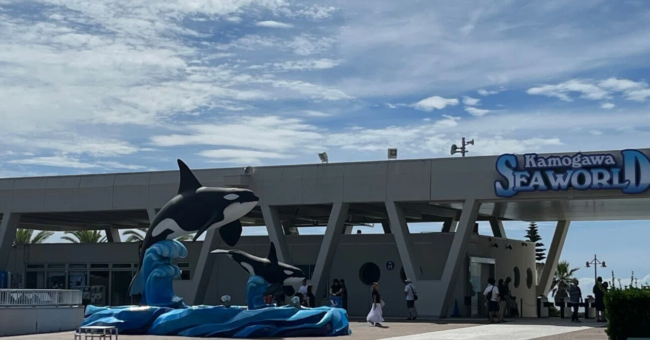 鴨川シーワールドへ行ってきました！｜ かんな・ぐらうか