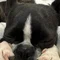 おうち