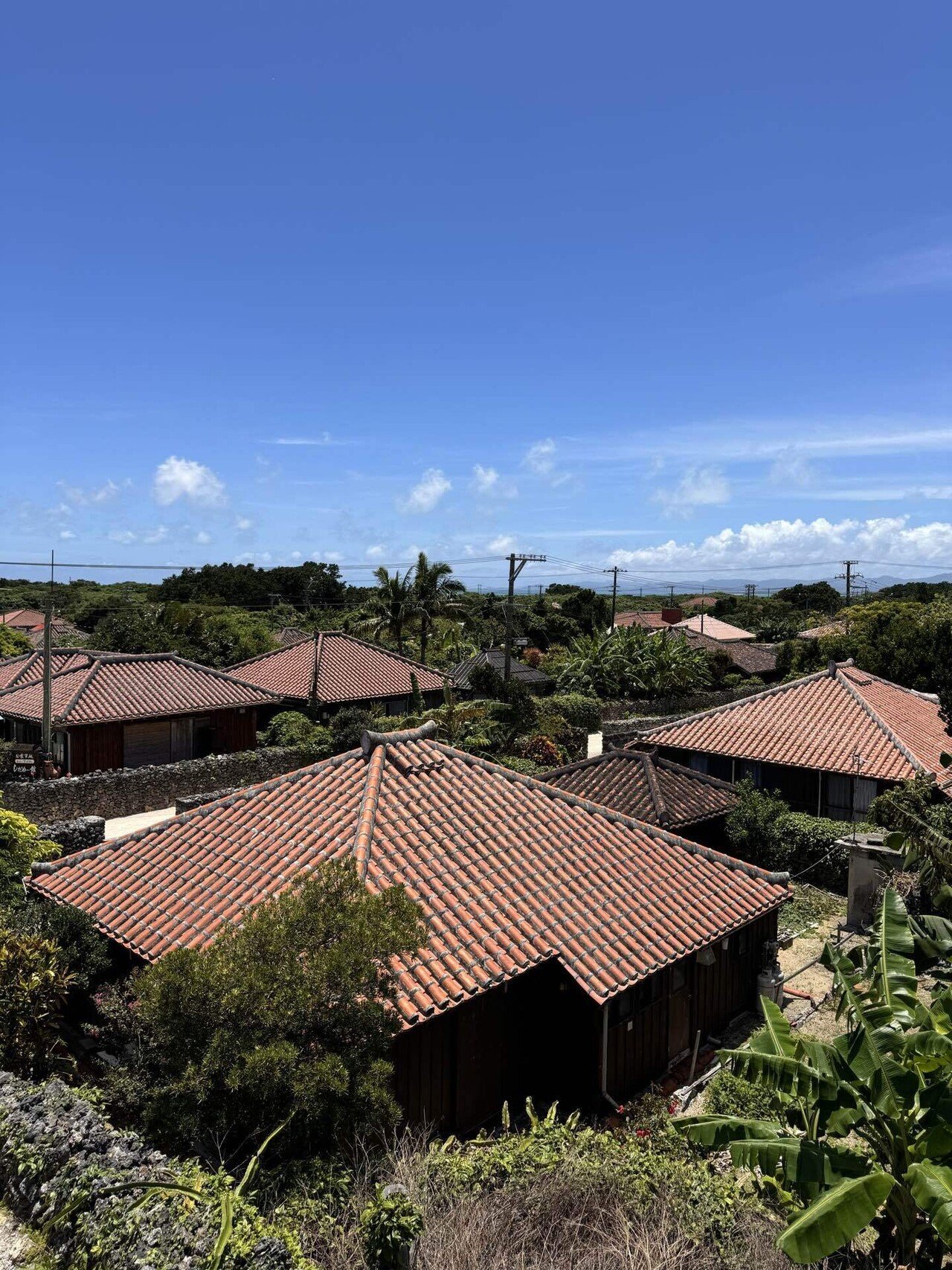 竹富島風景1986 竹富島風景1986