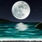 汐月夜空