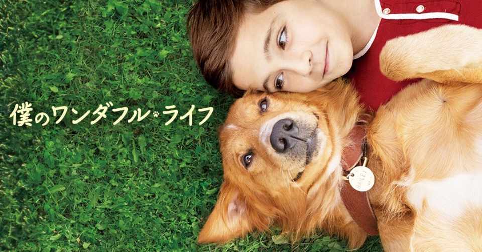 不覚にも涙 僕のワンダフル ライフ Max 神アニメ研究家 道楽舎 Note