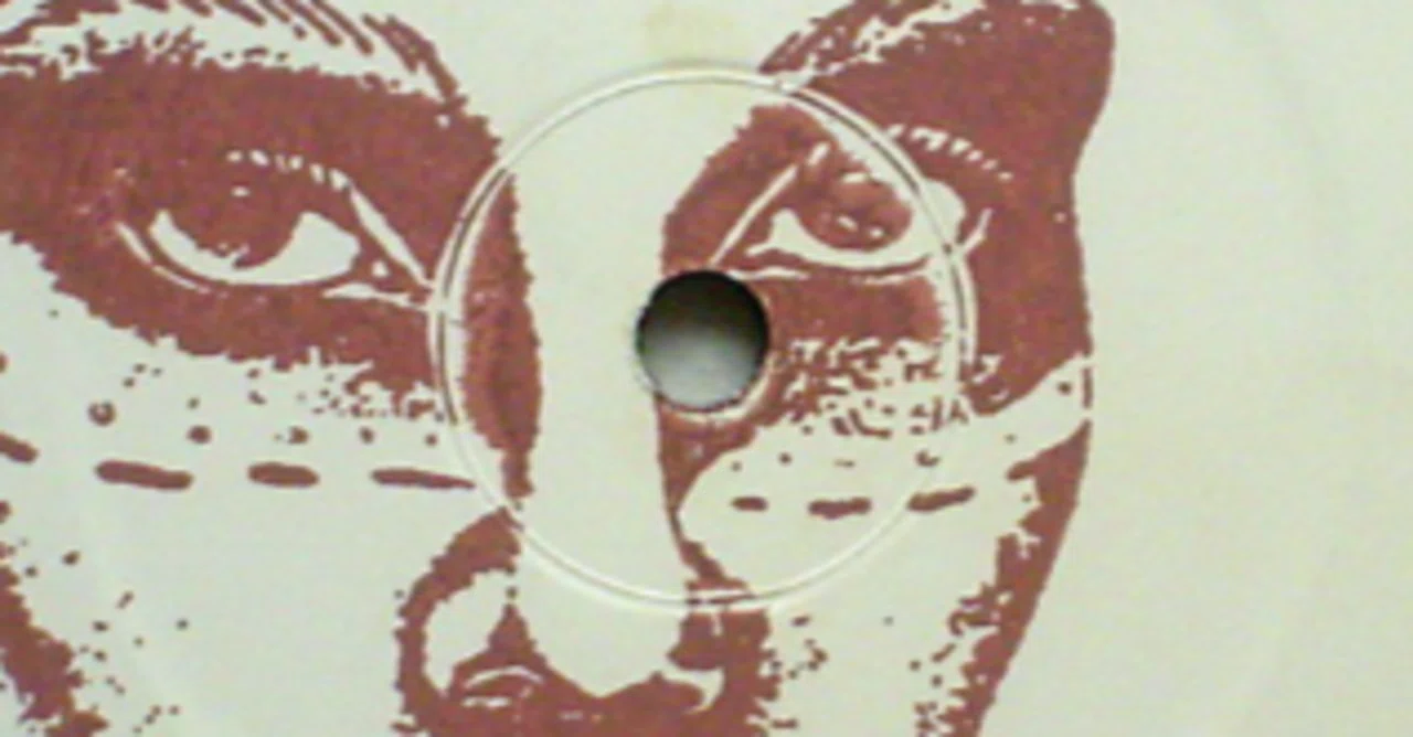Lil Louis / Fable レコード Fable-Lil Louis｜DAMA