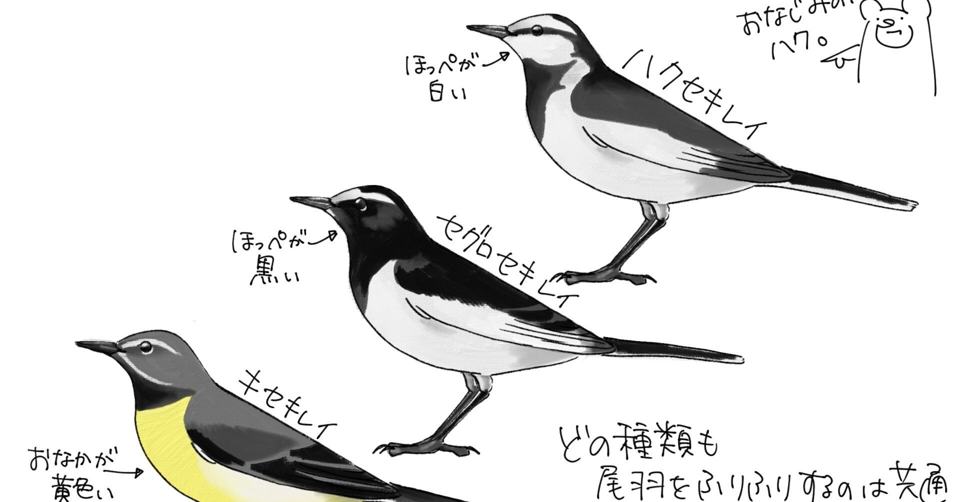 757275a35937abb8f91deb77d3778d