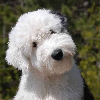 おしっこポタミア